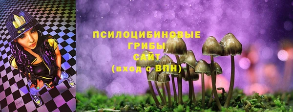 ECSTASY Балахна