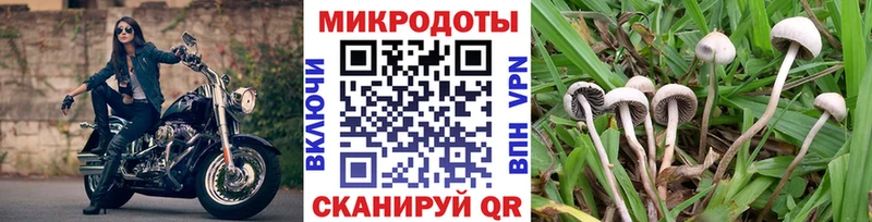 МЕГА онион  Зеленогорск  Псилоцибиновые грибы мухоморы 